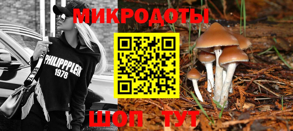 Жигулёвск  Галлюциногенные грибы Cubensis  Вход с VPN 